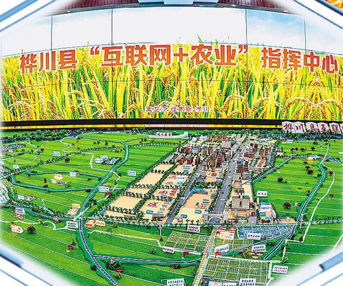 樺川以高標(biāo)準鏈出農(nóng)業(yè)發(fā)展新稻路 構(gòu)建現(xiàn)代農(nóng)業(yè)發(fā)展體系